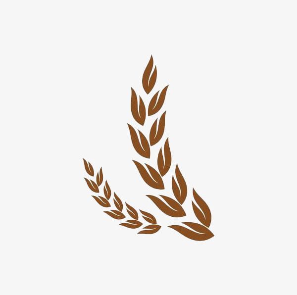 An Ear Of Wheat PNG, Clipart, Autumn, Autumn Wheat, Botany, Chen, Ear Clipart Free PNG Download