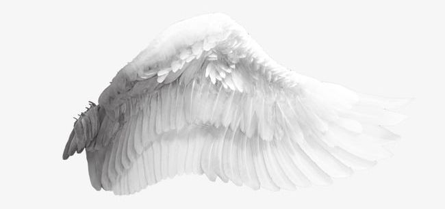 Angel Wings PNG, Clipart, Angel Clipart, Creative, Taobao Creative, White, White Wings Free PNG Download