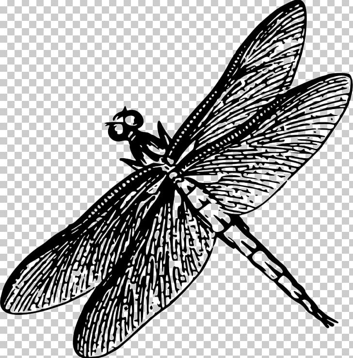 Dragonfly Insect Drawing Poster PNG, Clipart, Arthropod, Artwork, Black And White, Brush Footed Butterfly, Butterfly Free PNG Download