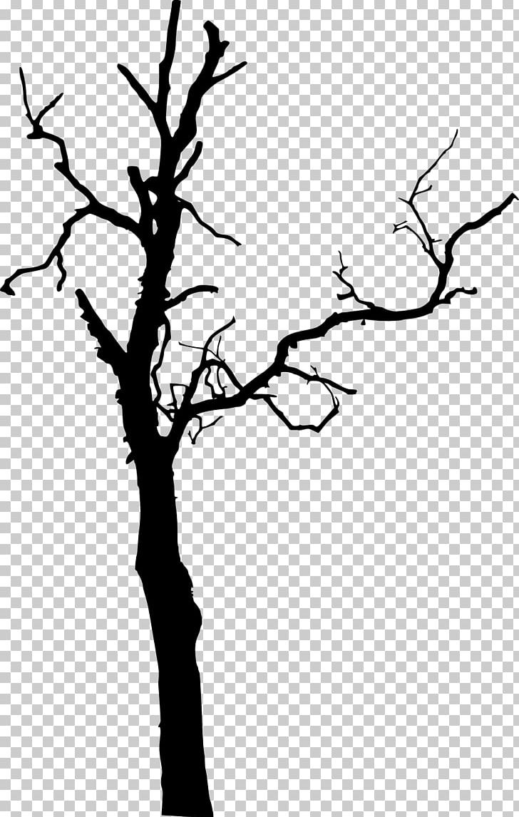 Tree PNG, Clipart, Black And White, Branch, Death, Flower, Flowering Plant Free PNG Download