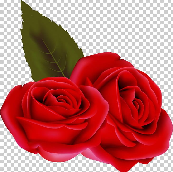 Valentine's Day Flower PNG, Clipart, Birthday, Cut Flowers, Drawing, Floribunda, Flower Free PNG Download