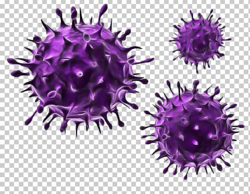 Virus Herpes Simplex Virus Flu Coronavirus Health PNG, Clipart, Avian Influenza, Bacteria, Coronavirus, Flu, Health Free PNG Download