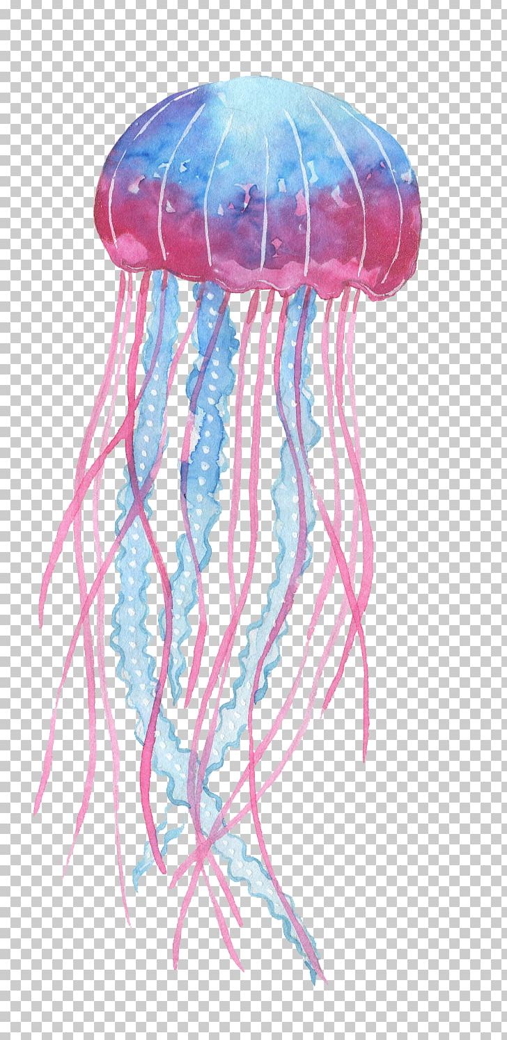 Box Jellyfish Invertebrate Deep Sea Creature PNG, Clipart, Aquatic Animal, Blue Jellyfish, Box Jellyfish, Cartoon, Cnidaria Free PNG Download