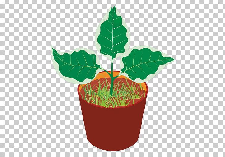 Flowerpot PNG, Clipart, Cartoon, Color, Download, Flower, Flowerpot Free PNG Download