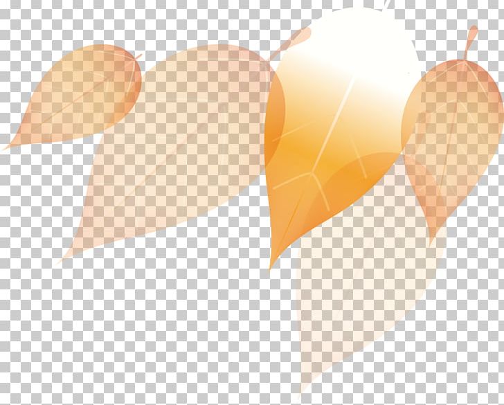 Ice Cream Cone PNG, Clipart, Autumn, Autumn Leaves, Autumn Leaves Creative, Autumn Tree, Autumn Vector Free PNG Download