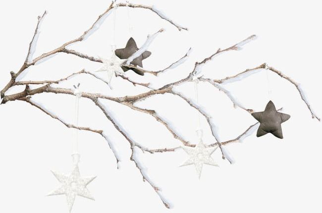 Snow Branch PNG, Clipart, Branch Clipart, Branch Clipart, Branches, Five Pointed, Five Pointed Star Free PNG Download