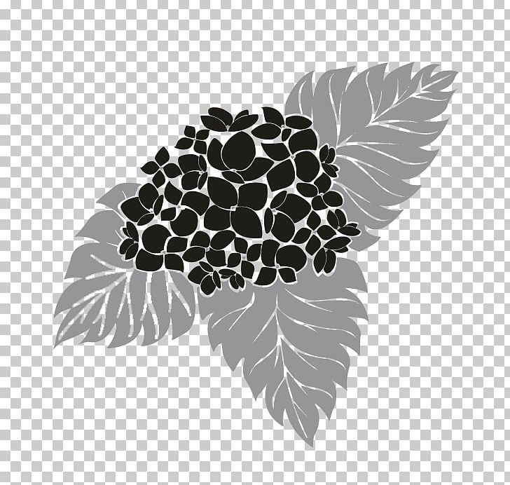 Black And White Visual Arts Leaf Tree Plant PNG, Clipart, Art, Black, Black And White, Leaf, Organism Free PNG Download