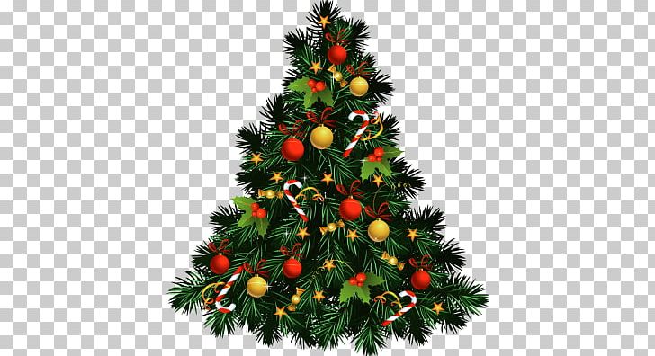 Christmas Tree PNG, Clipart, Christmas, Christmas Decoration, Christmas Ornament, Christmas Tree, Conifer Free PNG Download