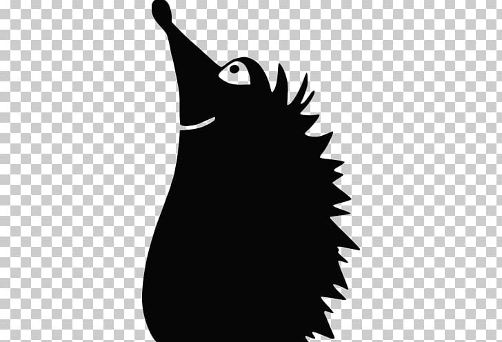 Hedgehog Hérisson Drawing Paper Photography PNG, Clipart, Animals, Beak, Bird, Black And White, Drawing Free PNG Download