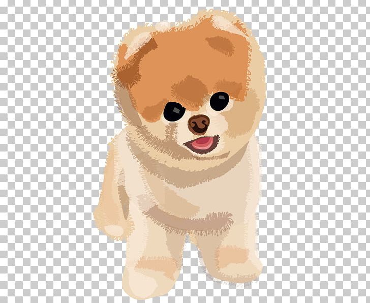 Pomeranian Puppy Boo PNG, Clipart, Animals, Boo, Boo Boo, Carnivoran, Companion Dog Free PNG Download