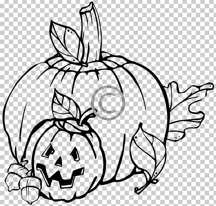 Pumpkin Drawing Line Art PNG, Clipart, Artwork, Black And White, Color, Coloring Book, Cucurbita Pepo Free PNG Download