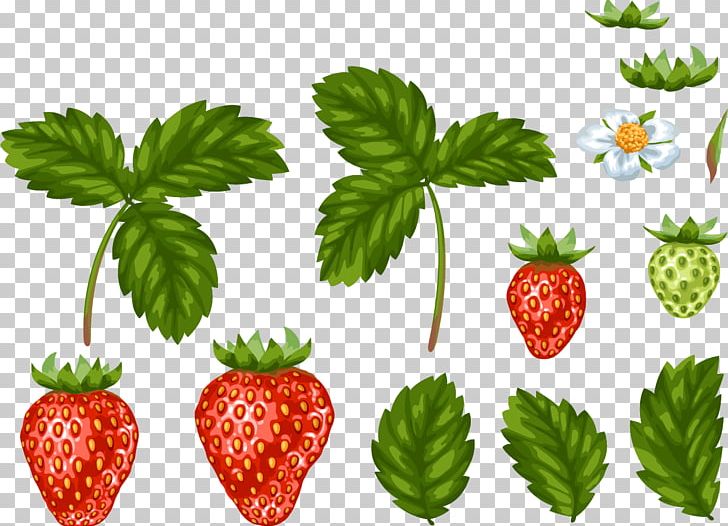 Strawberry Leaf Food PNG, Clipart, Aedmaasikas, Autumn Leaves, Berry, Decorate, Encapsulated Postscript Free PNG Download