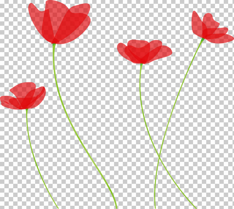 Red Flower Plant Stem Tulip Plant PNG, Clipart, Anemone, Coquelicot, Corn Poppy, Flower, Paint Free PNG Download