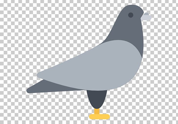 Columbidae Domestic Pigeon Computer Icons Pet PNG, Clipart, Animal, Beak, Bird, Black And White, Columbidae Free PNG Download