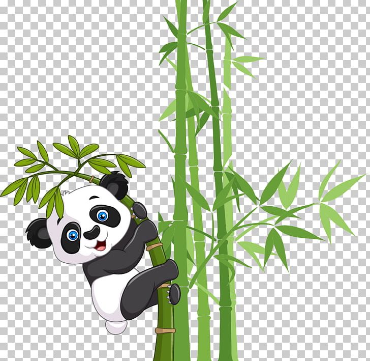 Giant Panda Bear Cuteness PNG, Clipart, Animals, Bamboo, Bear, Branch, Carnivoran Free PNG Download