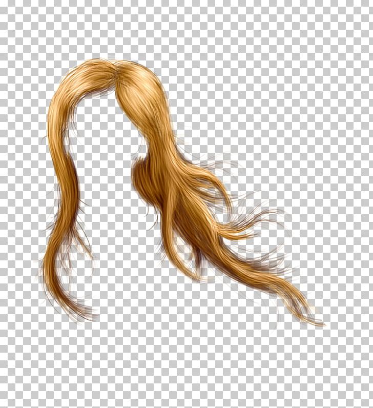 GIMP Photography PNG, Clipart, Blond, Brown Hair, Drawing, Gimp, Hair Free PNG Download