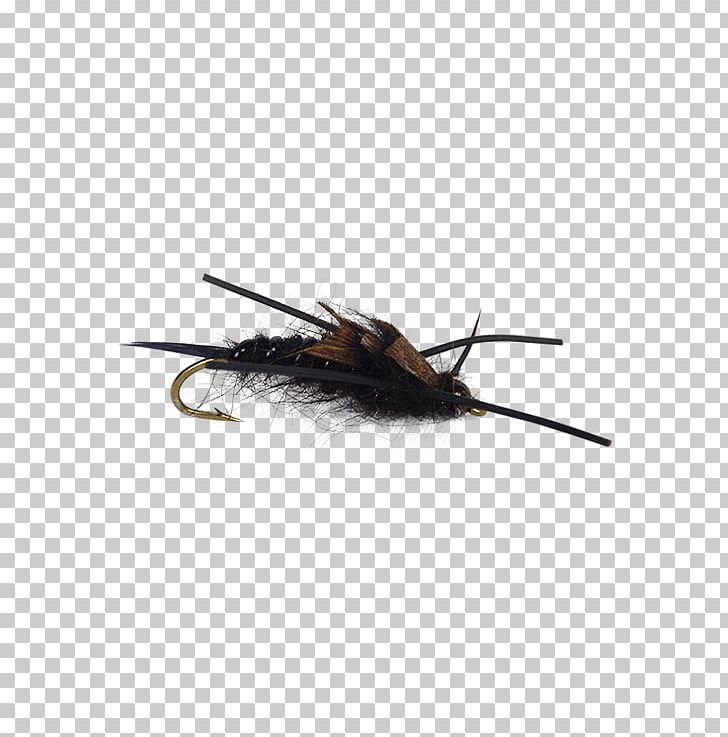 Insect Nymph Fly Fishing Holly Flies PNG, Clipart, Average, Feather, Fishing, Fly Fishing, Fly Tying Free PNG Download