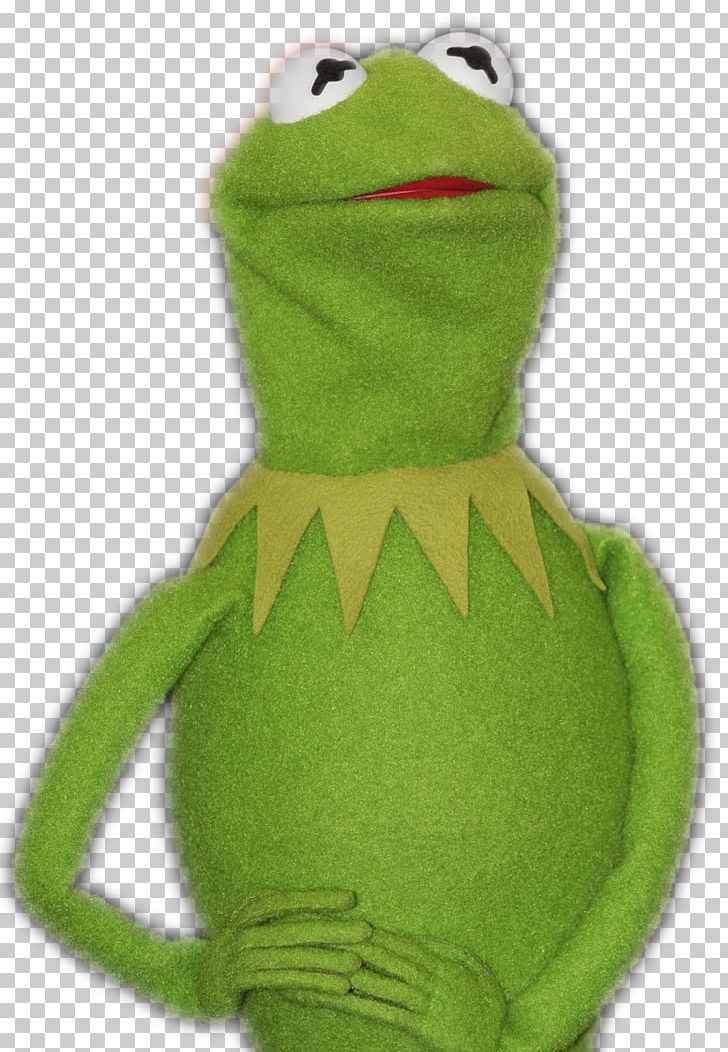 Kermit The Frog The Muppets True Frog PNG, Clipart, Amphibian, Animals, Bad, Bein Green, Blog Free PNG Download