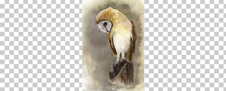Owl Watercolor Painting Bird Art PNG, Clipart, Animals, Art, Artist, Barn, Barn Owl Free PNG Download