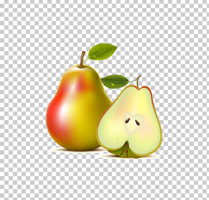 Asian Pear Pyrus Xd7 Bretschneideri Fruit Tree PNG, Clipart, Apple Fruit, Diet Food, Encapsulated Postscript, Food, Fruit Free PNG Download
