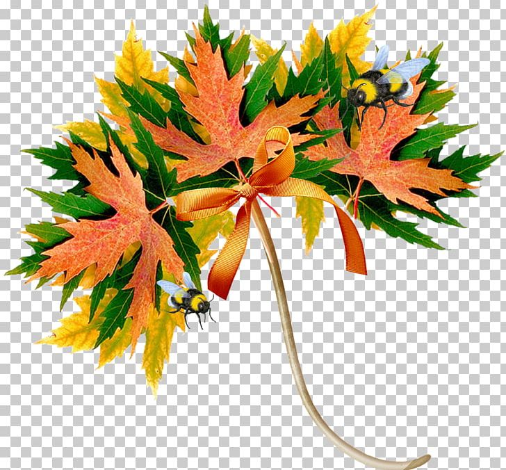 Autumn Daytime Maple Leaf Song Summer PNG, Clipart, Abscission, Autumn, Daytime, Flowering Plant, Fruit Free PNG Download