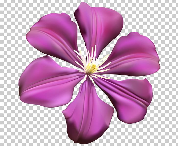 Flower Purple Violet PNG, Clipart, Blue, Cari, Cut Flowers, Floral Design, Flower Free PNG Download