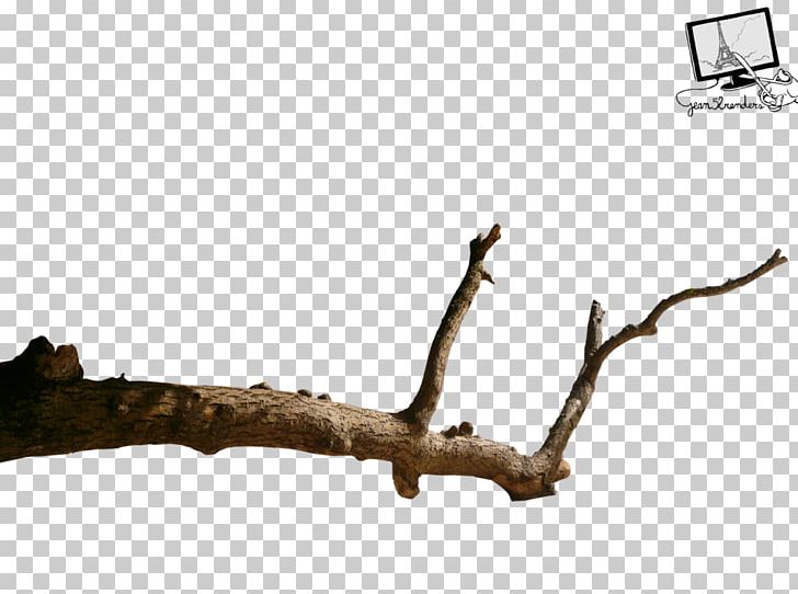 Branch Bird PNG, Clipart, Animals, Bird, Black And White, Branch, Clip Art Free PNG Download