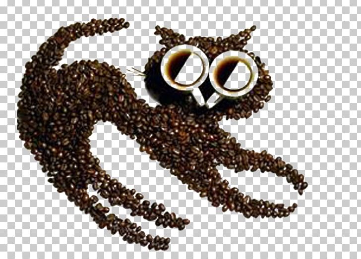 Coffee Bean Cafe Art PNG, Clipart, Artist, Bean, Beans, Cafe, Caryopsis Free PNG Download
