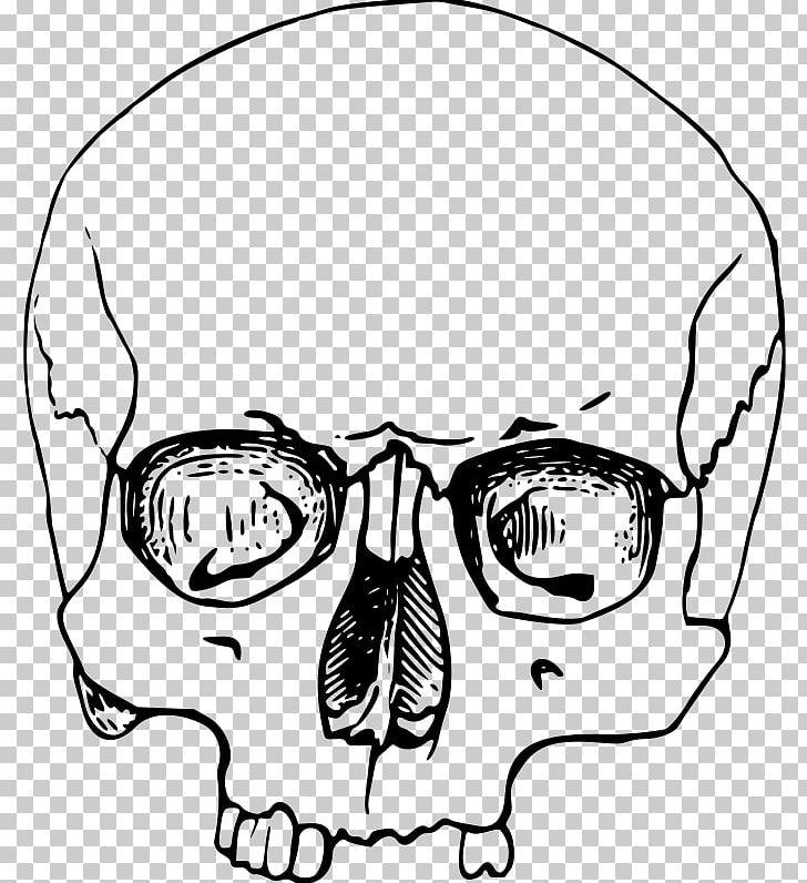 Skull PNG, Clipart, Area, Artwork, Black, Black And White, Bone Free PNG Download