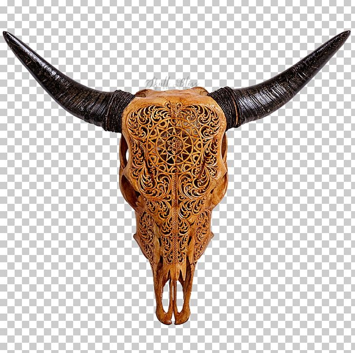Texas Longhorn English Longhorn Human Skull Symbolism PNG, Clipart, Animal, Animal Skulls, Bali Cattle, Barbed Wire, Bull Free PNG Download