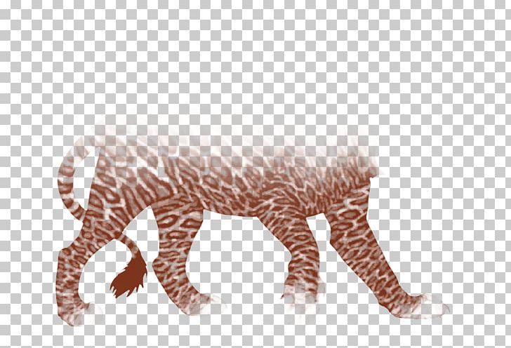 Tiger Giraffe Cat Terrestrial Animal Wildlife PNG, Clipart, Animal, Animal Figure, Animals, Big Cat, Big Cats Free PNG Download