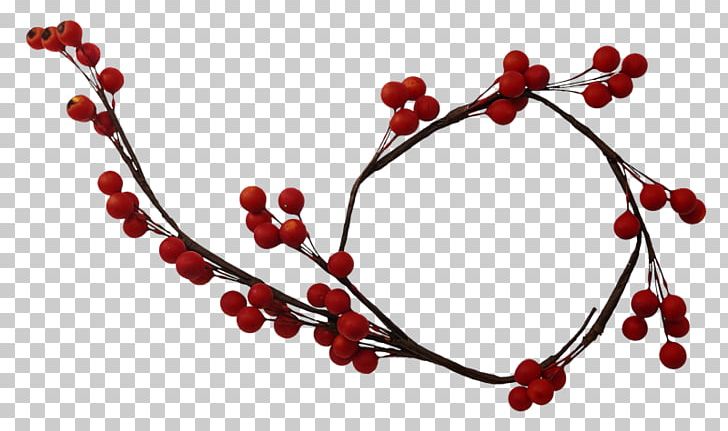 Frames Photography Drawing Berry PNG, Clipart, Albom, Animaatio, Berry, Blog, Branch Free PNG Download