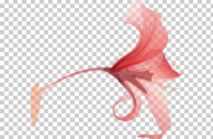 Petal Red Flower PNG, Clipart, Closeup, Drawing, Floral Design, Flower, Flowering Plant Free PNG Download