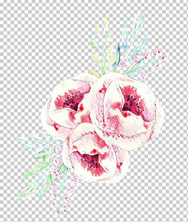 White Flower Pink Cut Flowers Plant PNG, Clipart, Bouquet, Cut Flowers, Flower, Petal, Pink Free PNG Download
