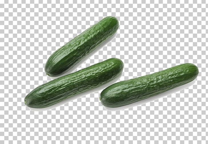 Deniz Supermarkt Slicing Cucumber Salad Food Spreewald Gherkins PNG, Clipart, Bell Pepper, Cucumber, Cucumber Gourd And Melon Family, Cucumis, Delicatessen Free PNG Download