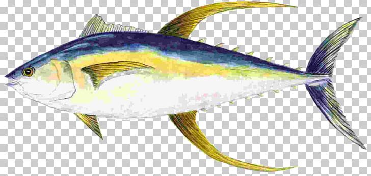Fishing Boating Saltwater Fish Fish Products PNG, Clipart, Animal Figure, Artwork, Bony Fish, Fauna, Fish Products Free PNG Download