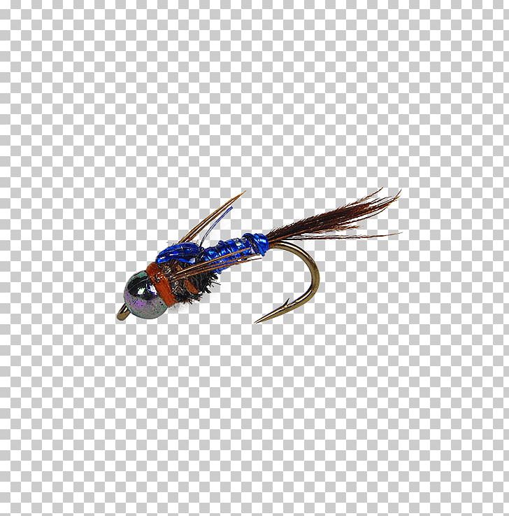 Holly Flies Nymph Stock Keeping Unit Head Ear PNG, Clipart, Beak, B H Photo Video, Ear, Feather, Fly Tying Free PNG Download