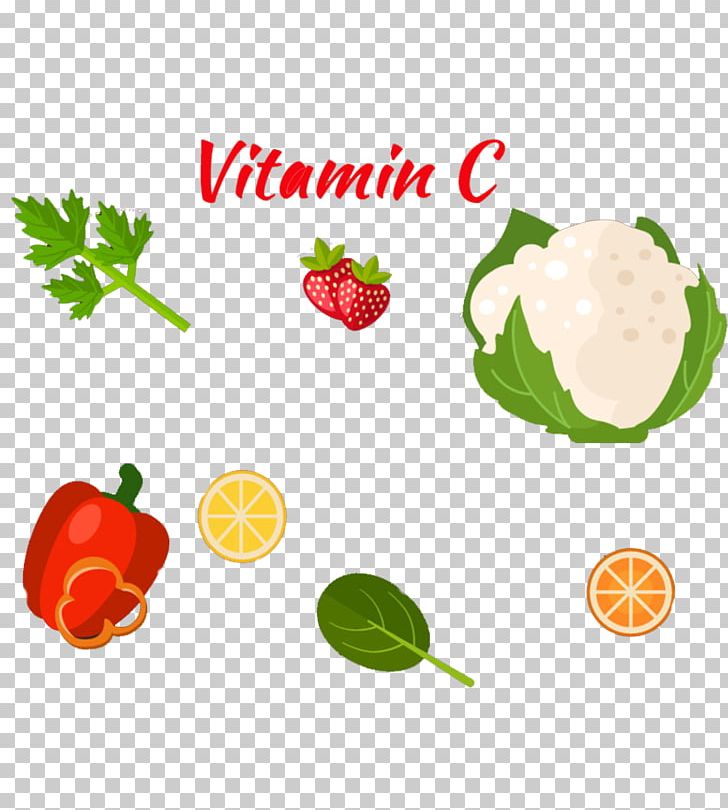 Organic Food Vegetable Strawberry PNG, Clipart, Cartoon, Celery, Cuisine, Diet Food, Encapsulated Postscript Free PNG Download