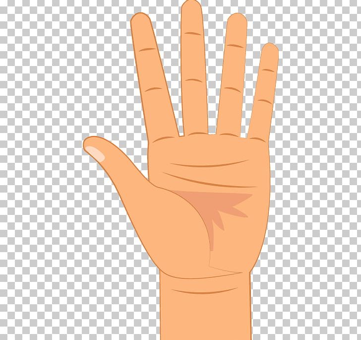 Thumb Digit Hand Little Finger PNG, Clipart, Arm, Digit, Finger, Fingercounting, Hand Free PNG Download