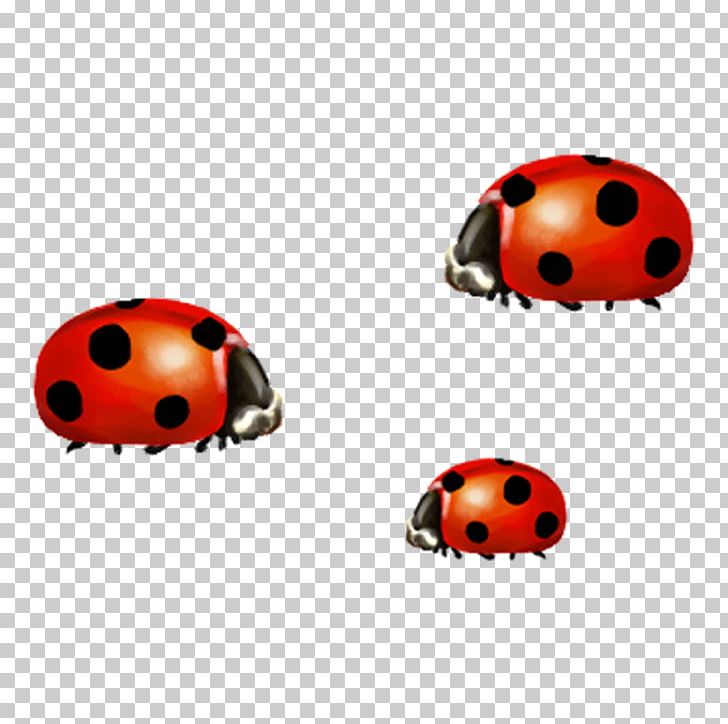 Ladybird Chart