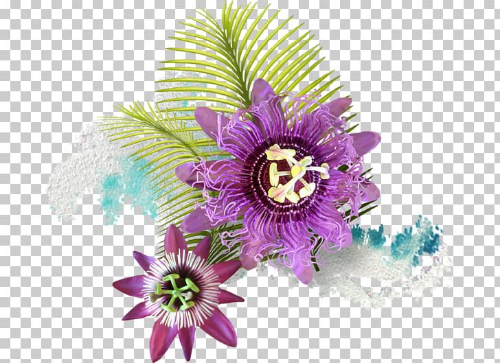 Passion Fruit Cut Flowers Petal PNG, Clipart, Cut Flowers, Flower, Flowering Plant, Nature, Passion Free PNG Download