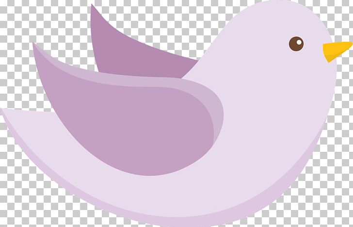 Water Bird Lilac Purple Violet PNG, Clipart, Anatidae, Animals, Baptism, Beak, Bird Free PNG Download