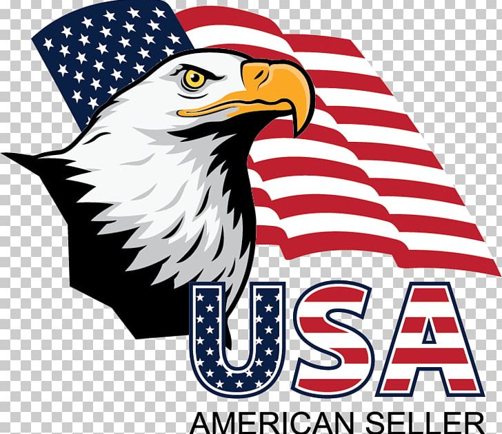 Bald Eagle United States Logo PNG, Clipart, Artwork, Bald Eagle, Beak, Bird, Bird Of Prey Free PNG Download