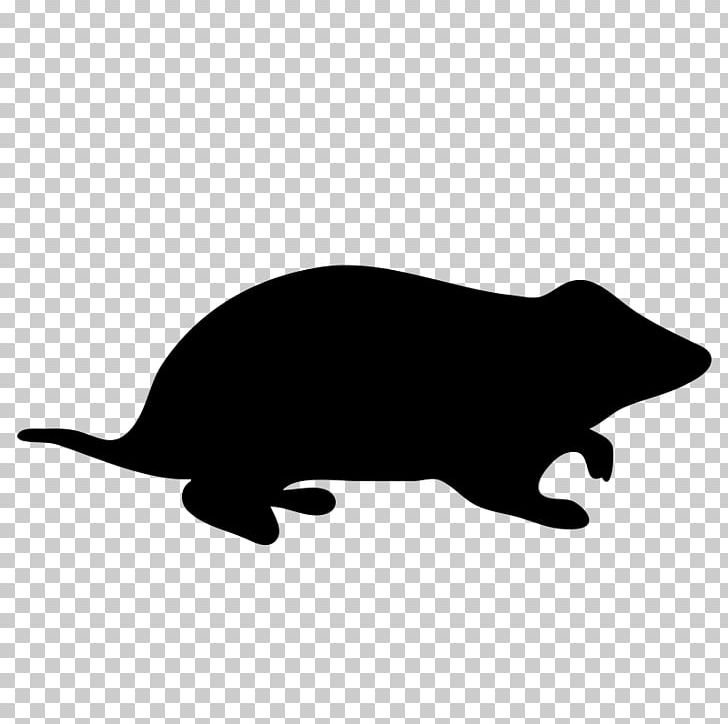 Hamster Rodent Silhouette PNG, Clipart, Animals, Black, Black And White, Carnivoran, Cat Free PNG Download