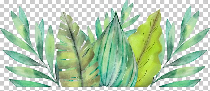 Leaf Amazon Rainforest Watercolor Painting Arecaceae PNG, Clipart, Amazon, Amazon Forest, Amazon Rainforest, Arecaceae, Art Free PNG Download
