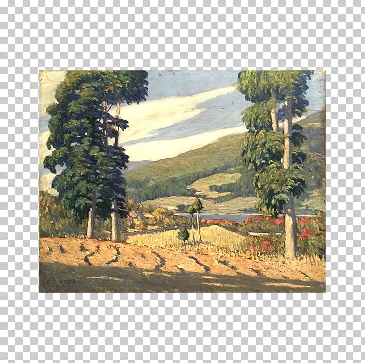Painting Ecosystem Land Lot Meadow Pine PNG, Clipart, Art, Conifer, Ecosystem, Family, Land Lot Free PNG Download