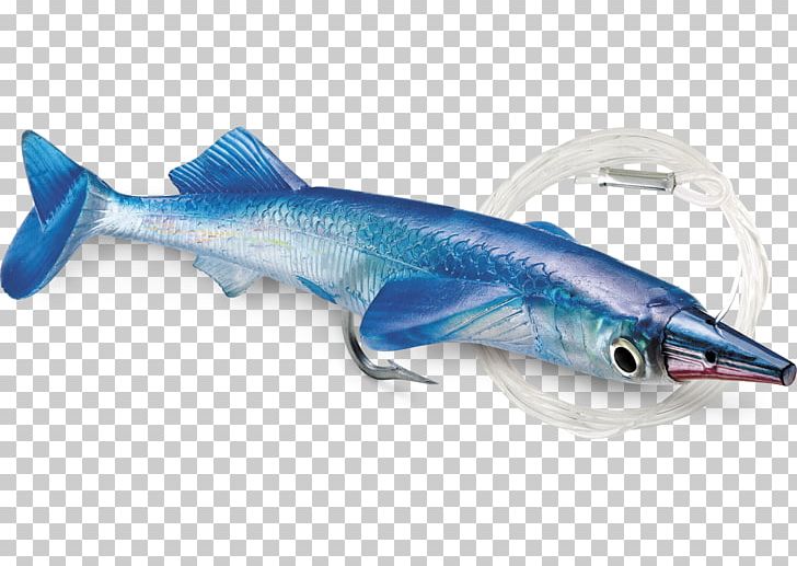 Swimming Fishing Baits & Lures Trolling Fish Hook PNG, Clipart, Bait, Barramundi, Blue, Cartilaginous Fish, Cod Free PNG Download