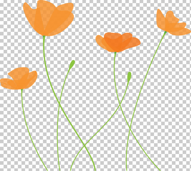 Poppy Flower PNG, Clipart, Coquelicot, Flower, Pedicel, Petal, Plant Free PNG Download