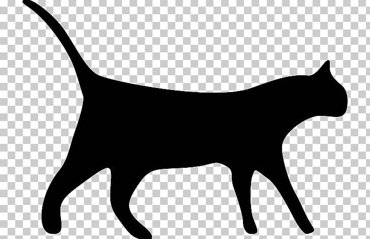 Black Cat Kitten PNG, Clipart, Animals, Black, Black And White, Black Cat, Carnivoran Free PNG Download