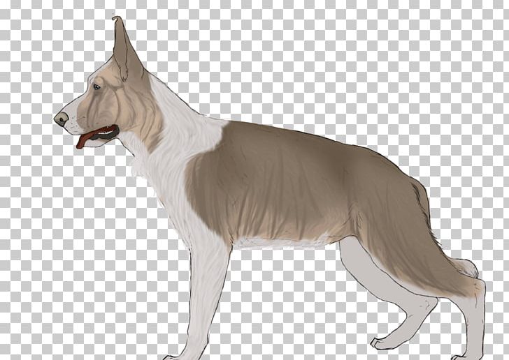 Dog Breed Canaan Dog Snout Tail PNG, Clipart, Breed, Canaan Dog, Carnivoran, Dog, Dog Breed Free PNG Download